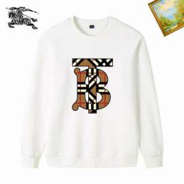 Picture of Burberry Sweatshirt _SKUBurberryM-3XL25tn11930732